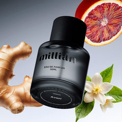 Avari LV's Imagination