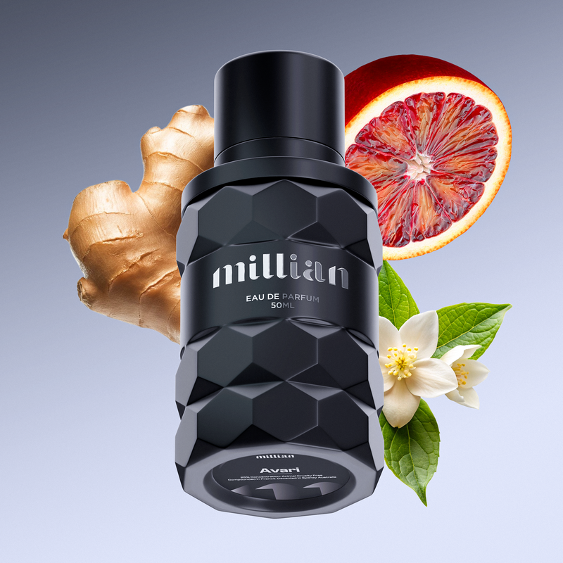 Avari LV's Imagination