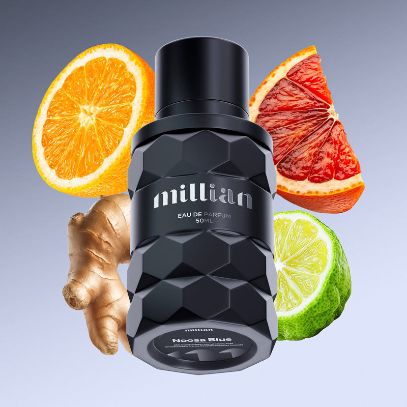 Noosa Blue LV's Afternoon Swim